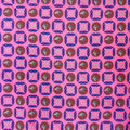Microtel Estampado Digital Gaúcho Rosa Mês Farroupilha